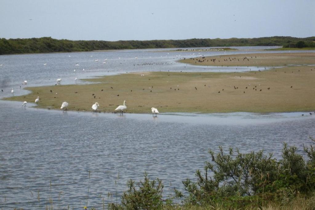 Le Bois Flotte Le Crotoy Exterior foto